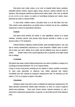 Konspekts 'Viesu uzņemšanas dienesta struktūra', 4.