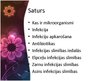 Prezentācija 'Mikroorganismi un slimības', 2.