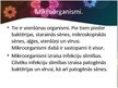Prezentācija 'Mikroorganismi un slimības', 3.