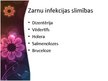 Prezentācija 'Mikroorganismi un slimības', 10.