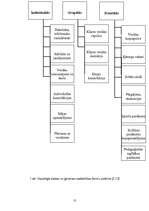 Diplomdarbs 'Sadarbība starp skolu un ģimeni pedagoģiskajā procesā', 13.