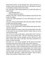 Konspekts 'Jaunie laiki', 2.