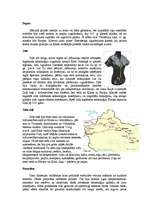 Referāts 'Ķīnas vēsture', 2.