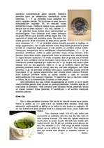 Referāts 'Ķīnas vēsture', 3.