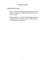 Biznesa plāns 'Fotomeistara pakalpojumi', 5.