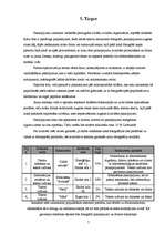 Biznesa plāns 'Fotomeistara pakalpojumi', 7.