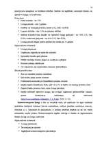 Diplomdarbs 'Līzinga attīstības tendences Latvijā', 16.