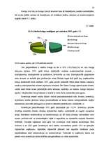 Diplomdarbs 'Līzinga attīstības tendences Latvijā', 28.