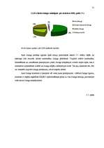 Diplomdarbs 'Līzinga attīstības tendences Latvijā', 31.