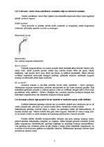 Konspekts 'Mājas darbs somatoskopijā', 2.