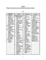 Konspekts 'Audi', 1.