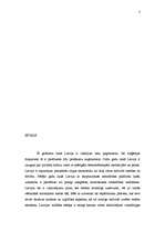 Referāts 'Mazās valstis starptautiskajā politikā', 3.