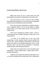 Referāts 'Mazās valstis starptautiskajā politikā', 5.