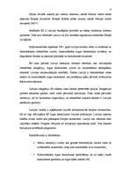 Referāts 'Mazās valstis starptautiskajā politikā', 9.