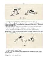 Referāts 'Iesildīšanās vingrinājumi', 10.