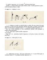 Referāts 'Iesildīšanās vingrinājumi', 12.