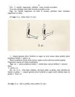 Referāts 'Iesildīšanās vingrinājumi', 13.