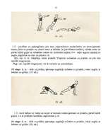 Referāts 'Iesildīšanās vingrinājumi', 15.