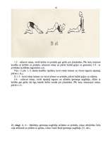 Referāts 'Iesildīšanās vingrinājumi', 16.