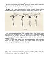 Referāts 'Iesildīšanās vingrinājumi', 20.