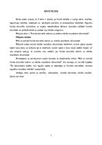 Diplomdarbs 'Fizisko aktivitāšu ietekme uz skolēnu mācību rezultātiem sākumskolā', 2.