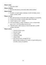 Diplomdarbs 'Fizisko aktivitāšu ietekme uz skolēnu mācību rezultātiem sākumskolā', 20.