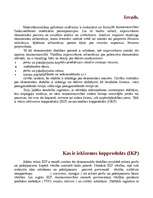 Referāts 'Iekšzemes kopprodukts', 2.