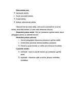 Prakses atskaite 'Pedagoģisko vērtību realizācija pirmsskolā', 3.