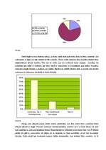 Diplomdarbs 'Rotaļspēle 5-6 gadu vecuma bērnu uzmanības attīstībā', 22.