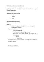 Konspekts 'Metalurģija', 2.