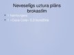Prezentācija 'Veselīgs uztura plāns vienai dienai', 6.