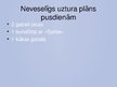 Prezentācija 'Veselīgs uztura plāns vienai dienai', 7.