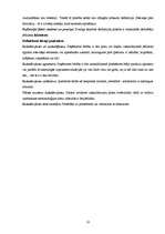 Referāts 'Jēdziena vispārējs raksturojums', 8.