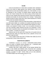 Referāts 'Autoritārisms', 3.