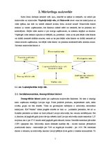 Referāts 'SIA "Venden" tirgus izpēte', 7.