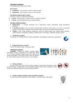 Konspekts 'Filosofijas pamati', 2.