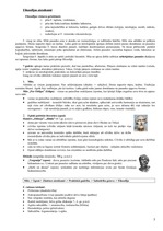 Konspekts 'Filosofijas pamati', 5.