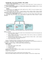 Konspekts 'Filosofijas pamati', 14.