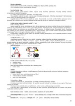 Konspekts 'Filosofijas pamati', 22.