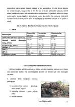 Referāts 'Atkritumu veidi un to īpašības', 11.