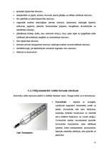 Referāts 'Atkritumu veidi un to īpašības', 13.