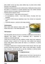 Referāts 'Atkritumu veidi un to īpašības', 25.