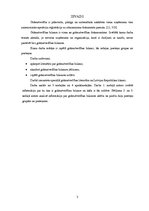 Referāts 'Grāmatvedības bilance, tās informatīvais saturs', 3.