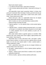 Referāts 'Grāmatvedības bilance, tās informatīvais saturs', 6.