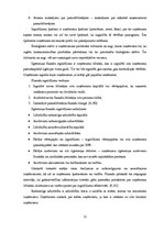 Referāts 'Grāmatvedības bilance, tās informatīvais saturs', 11.