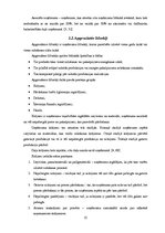 Referāts 'Grāmatvedības bilance, tās informatīvais saturs', 12.