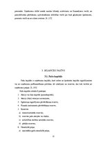 Referāts 'Grāmatvedības bilance, tās informatīvais saturs', 15.