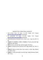 Referāts 'Grāmatvedības bilance, tās informatīvais saturs', 20.