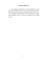 Referāts 'Kokeina sindroms', 8.