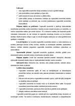 Referāts 'Globālā krīze un organizētā noziedzība', 4.